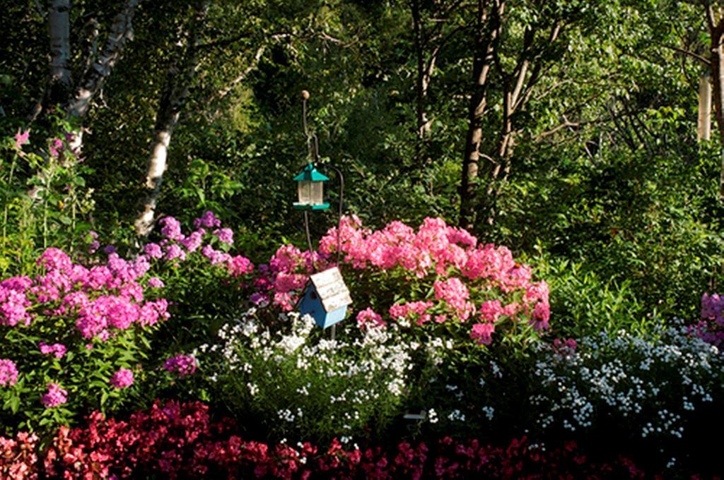Gite Au Pied Du Courant De Gilbert Desjardins 몽로리에 외부 사진
